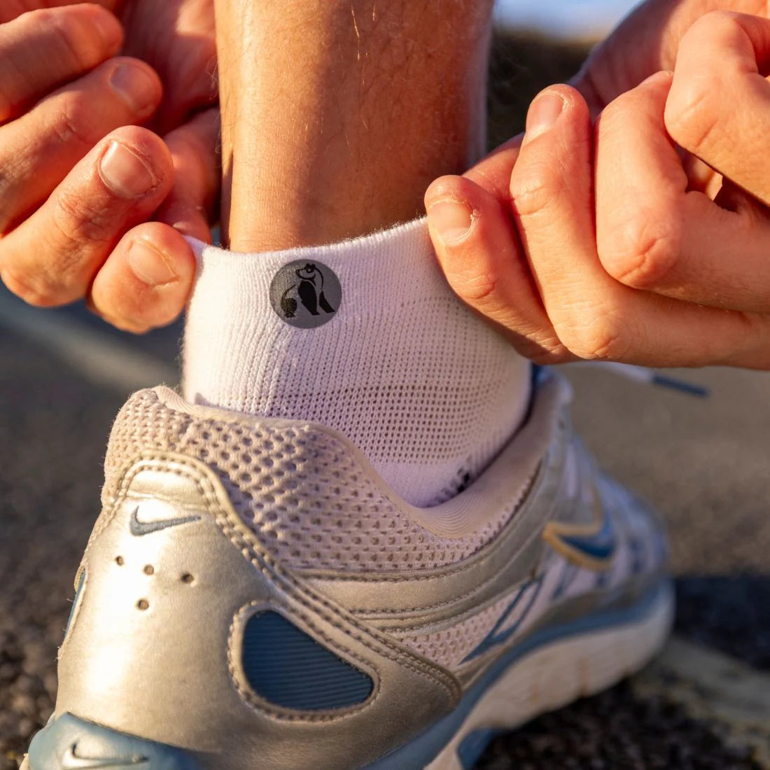 Swole Panda bamboo Performance Trainer Socks