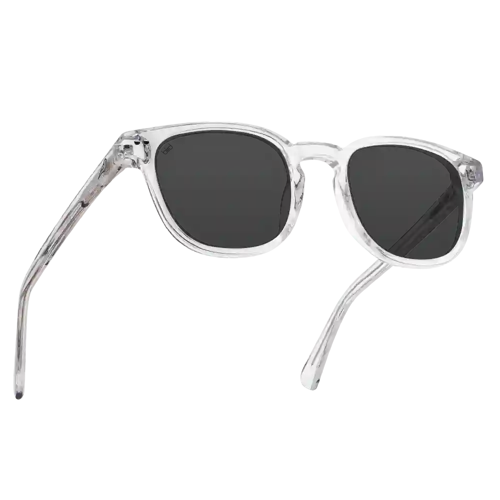 Bird Sunglasses - Athene - Clear