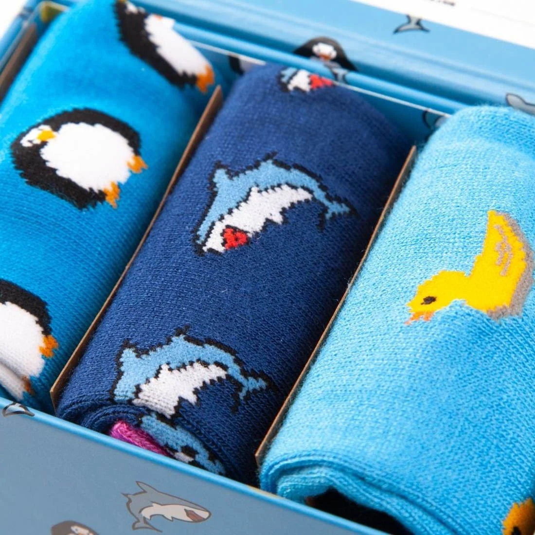 SWOLE PANDA Animal Sock 3 pair Sock Box